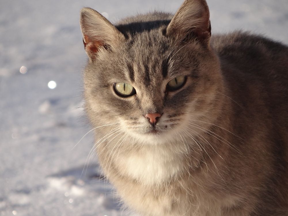 Photograph by Роман Трошин