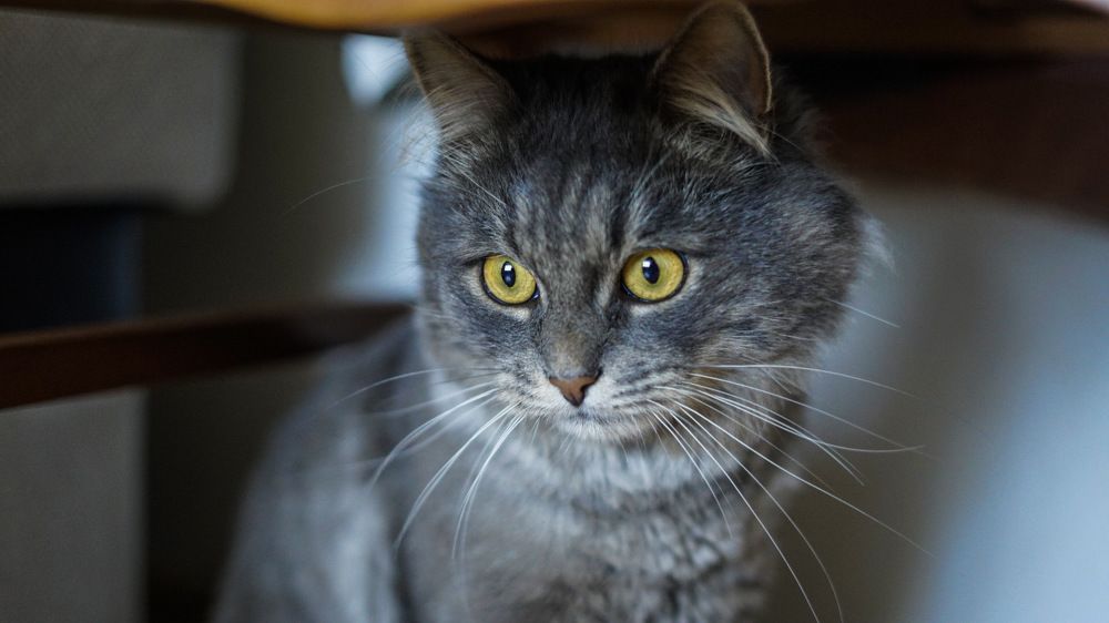 Photograph by Роман Трошин