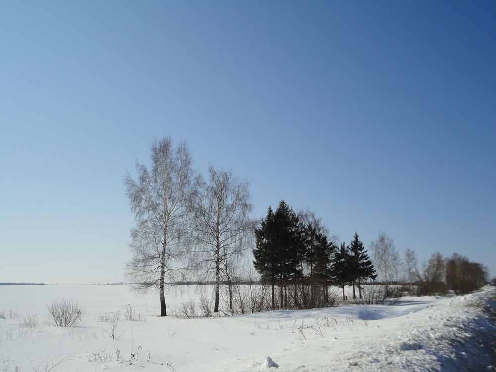 Photo #8694639