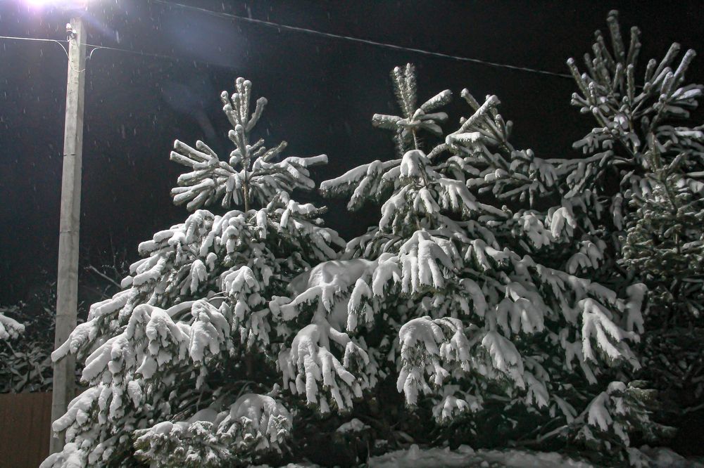 Photograph by Алфия Бугакова