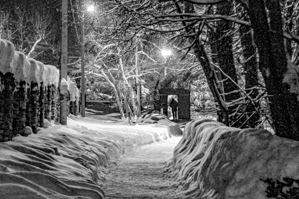 Photograph by Алфия Бугакова