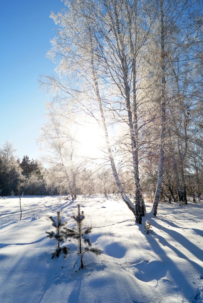 Photograph by Надежда Шапкина