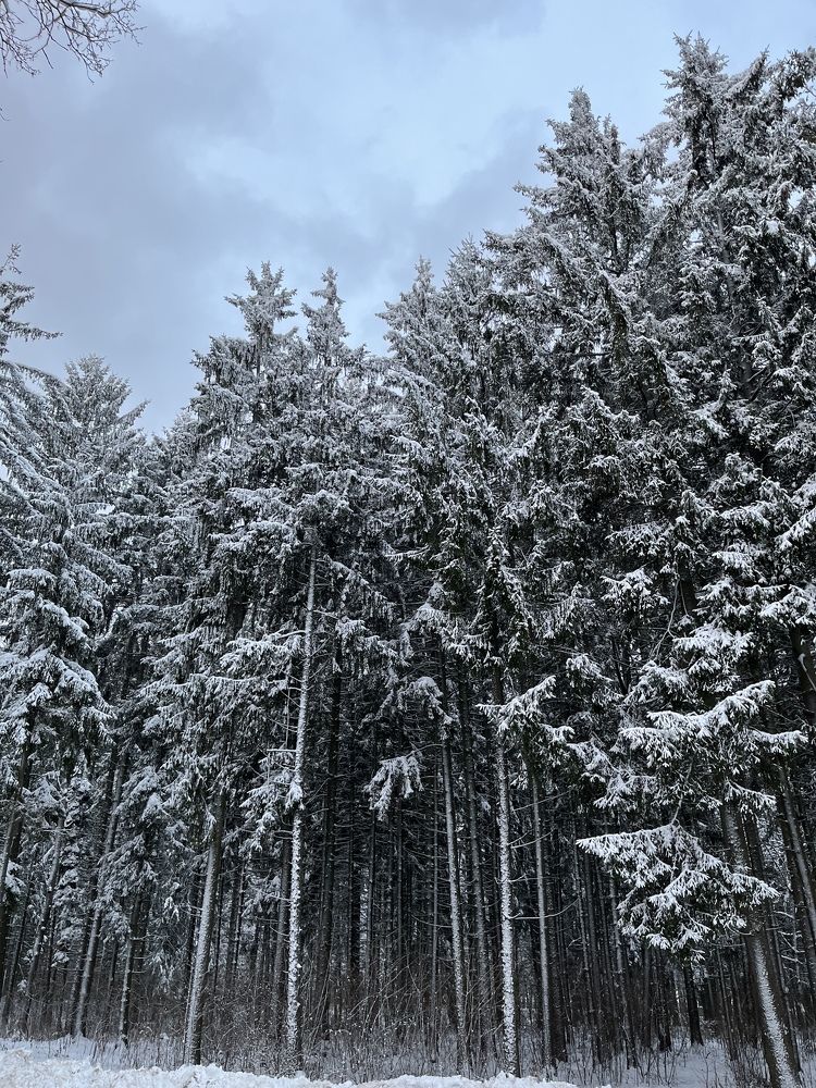 Photograph by Ольга Томашевич