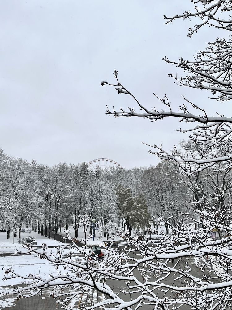 Photograph by Ольга Томашевич