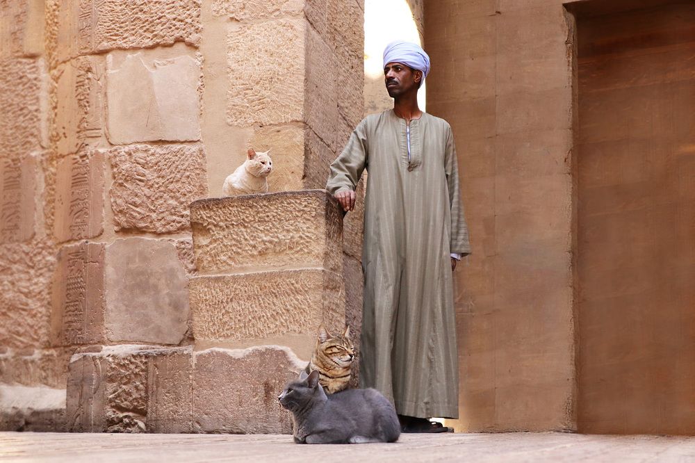 Photograph by Anna Perevozchikova