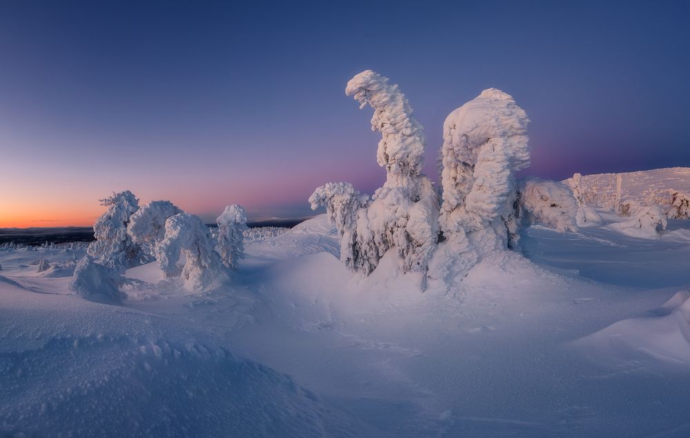 Photograph by Марина Сорокина