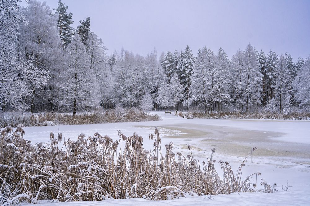 Photograph by Intars Supins