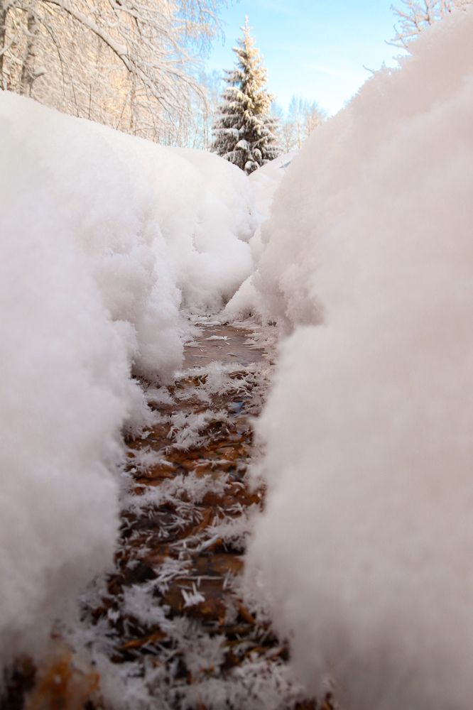 Photograph by Алексей Голубев