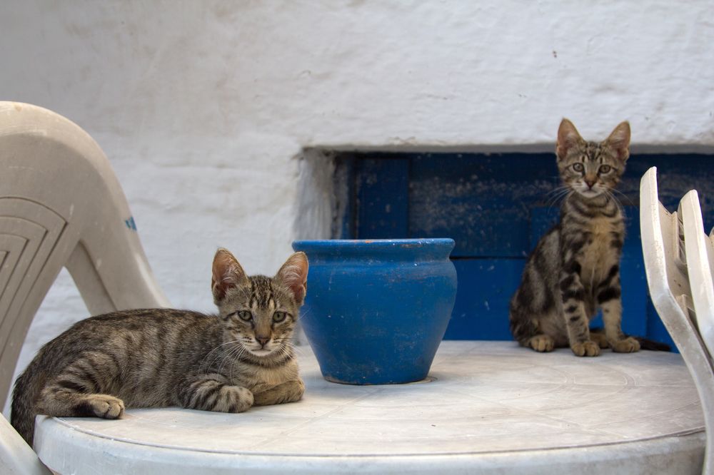 Photograph by Olga Min