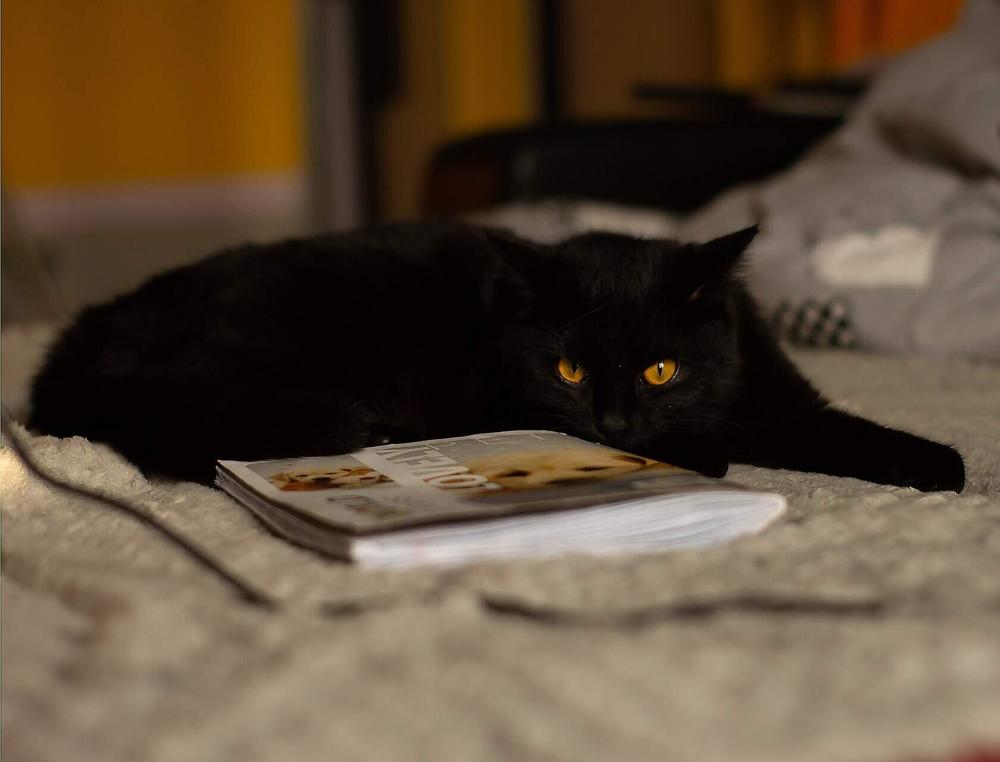 Photograph by Оксана Батракова