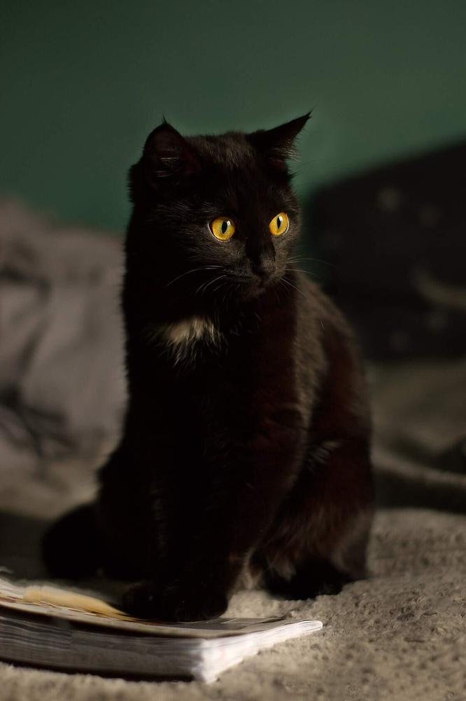 Photograph by Оксана Батракова