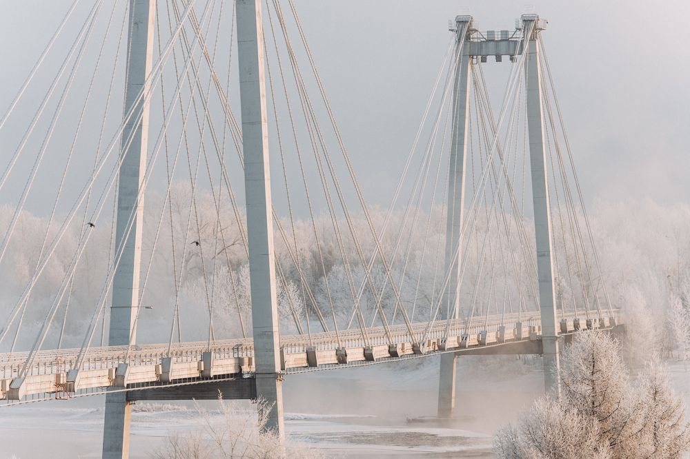 Фотография автора Анна Рыжкова