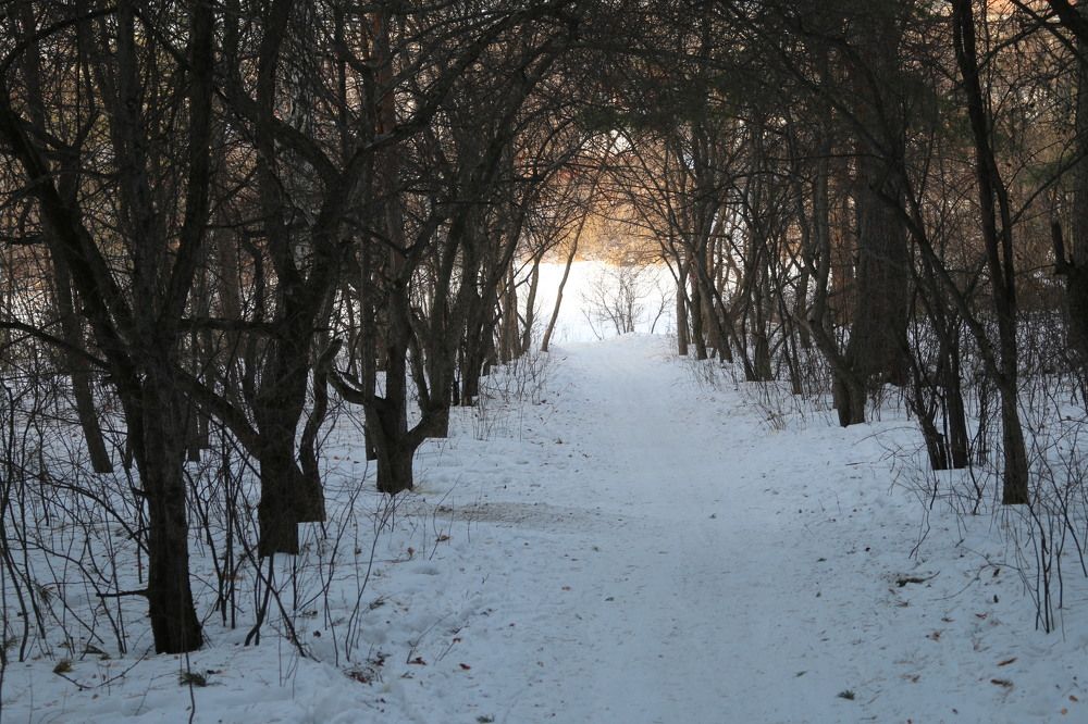 Photograph by Софья Белоногова