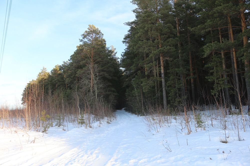 Photograph by Софья Белоногова