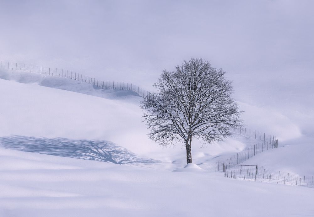 Photograph by NGUYEN NGOC SON