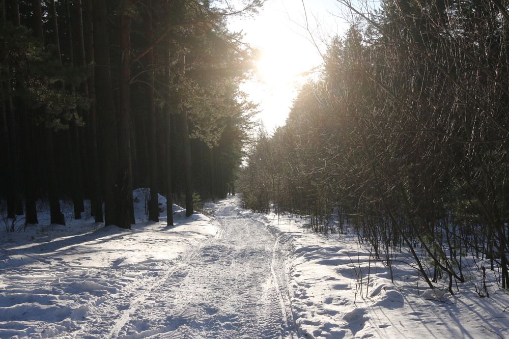 Photograph by Софья Белоногова