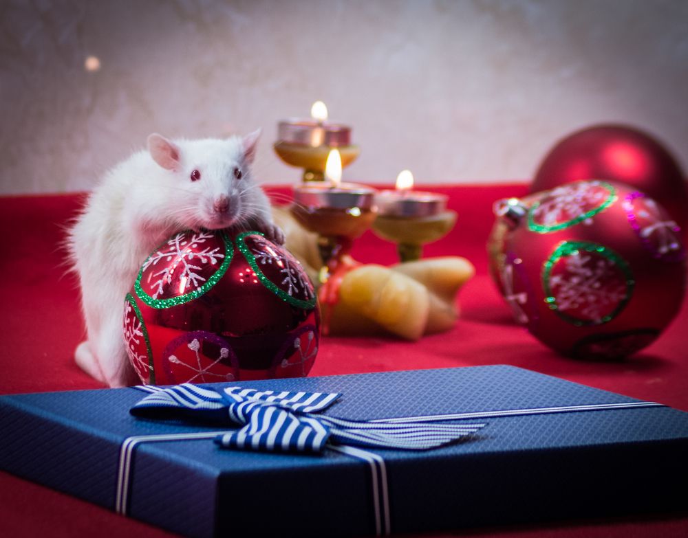 Photograph by Николай Михалев