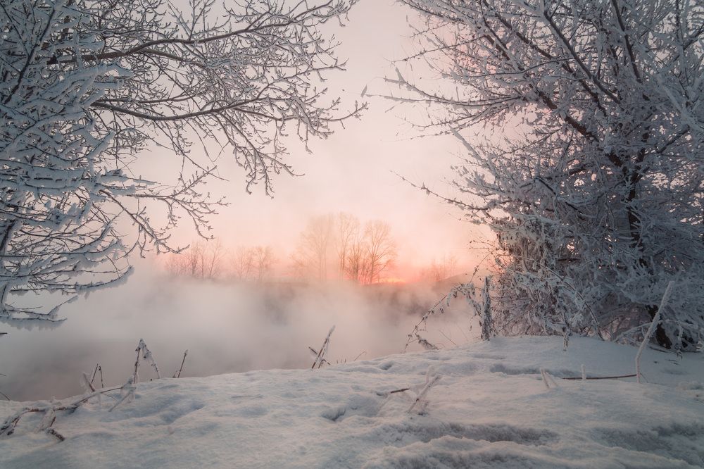 Photograph by Портных Дмитрий