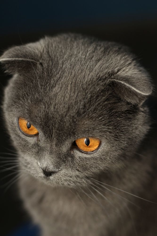 Photograph by Valentina Komogorova