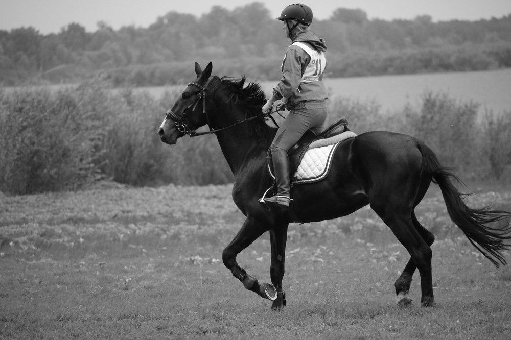 Photograph by Мазур Максим