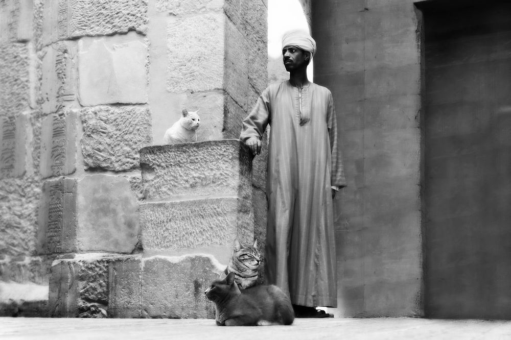 Photograph by Anna Perevozchikova