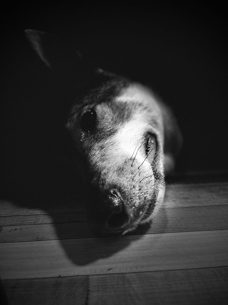 Photograph by Максим Богданов