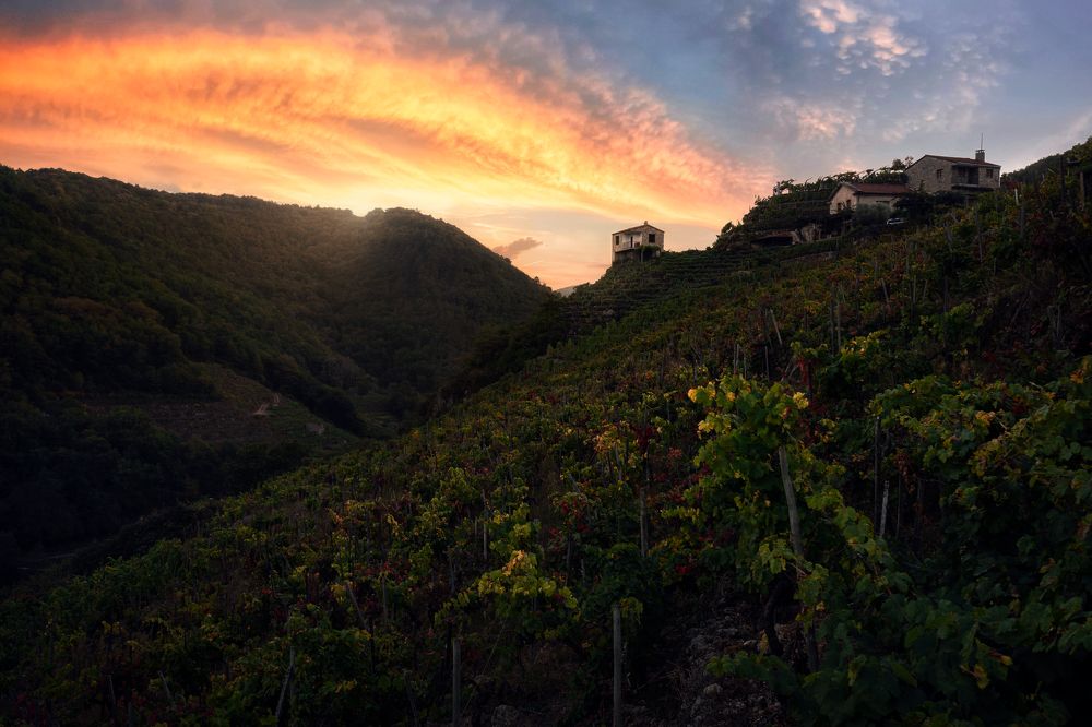 Photograph by Borja Rial Pereira