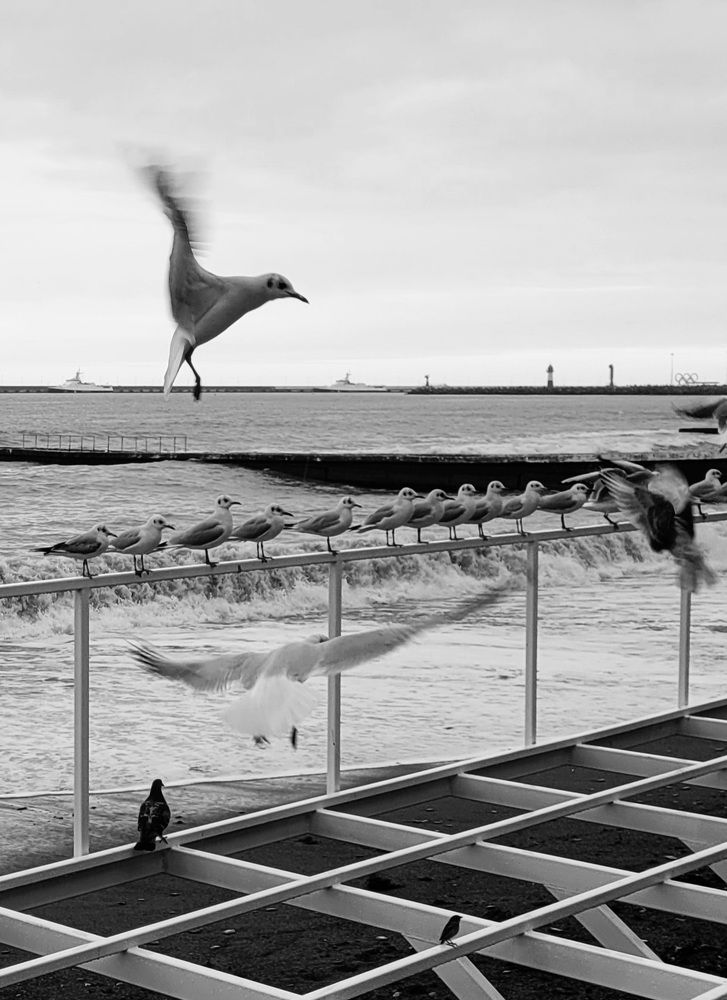 Photograph by Полина Черненко