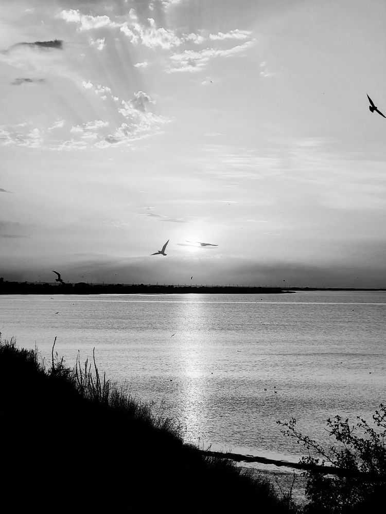 Photograph by Полина Черненко