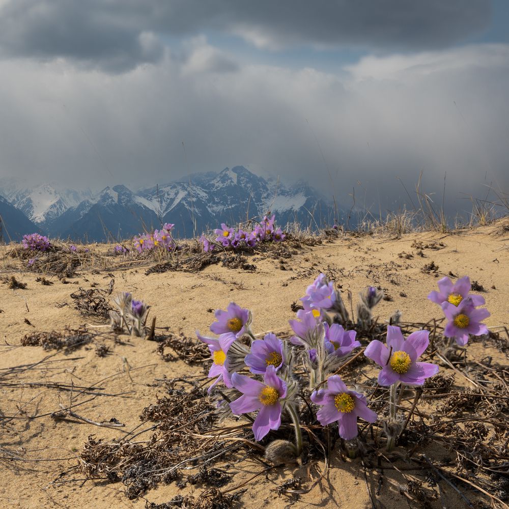 Photograph by Марина Маликова