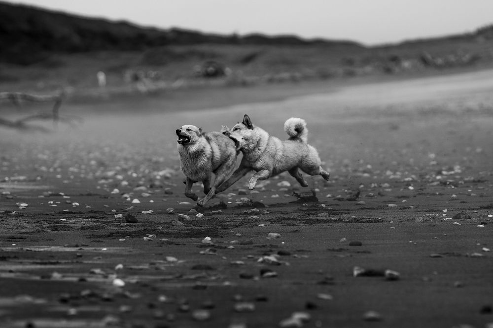 Photograph by Николай Филиппов