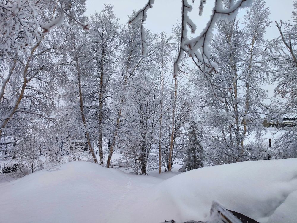 Photograph by JONATHAN VALDEZ