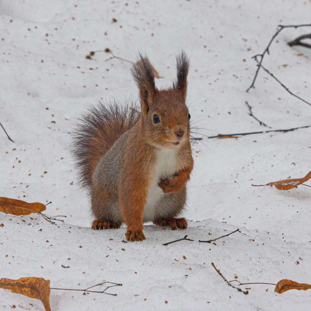 Photograph by Ekaterina Narozhnova