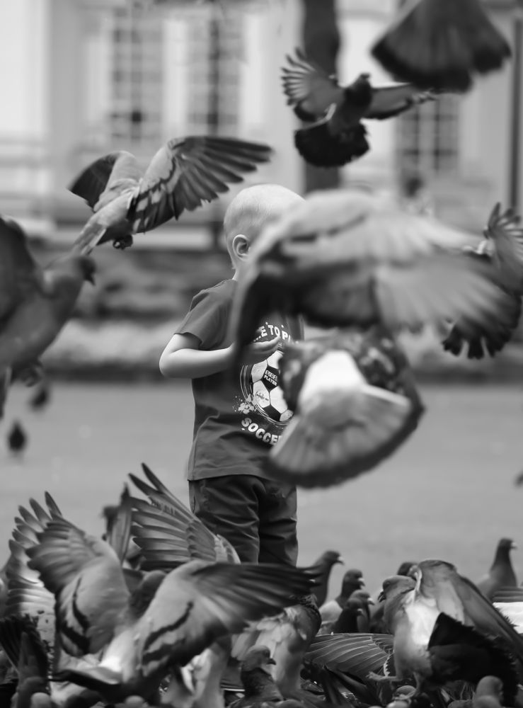 Photograph by Анна Чичилова