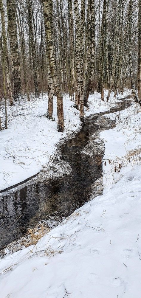 Photograph by Надежда Кудрявцева