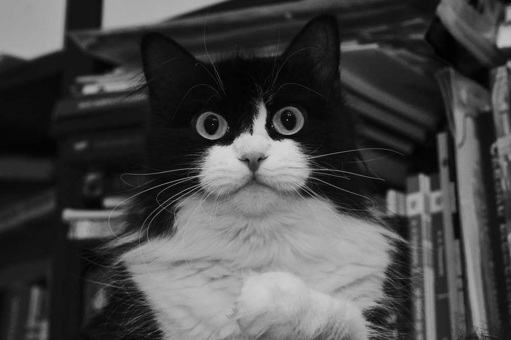 Photograph by Денис Клубникин