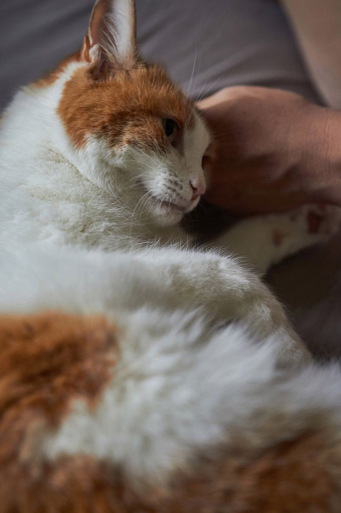 Фотография автора Ольга Неуймина