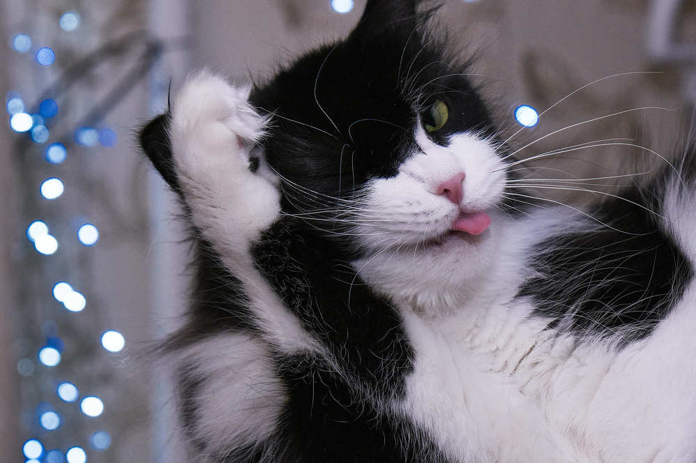 Photograph by Денис Клубникин