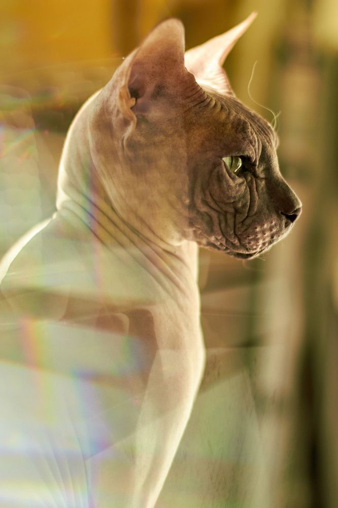 Фотография автора Ольга Неуймина