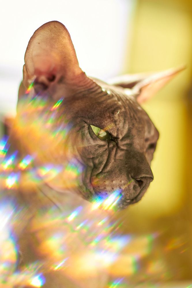 Фотография автора Ольга Неуймина