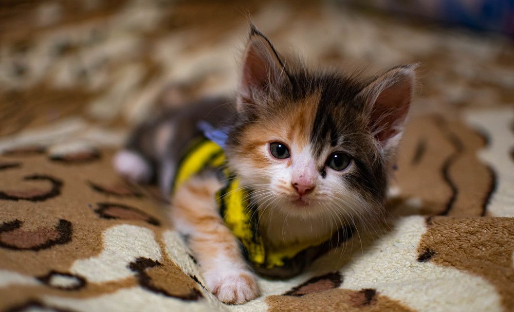 Photograph by Владимир Жигулин