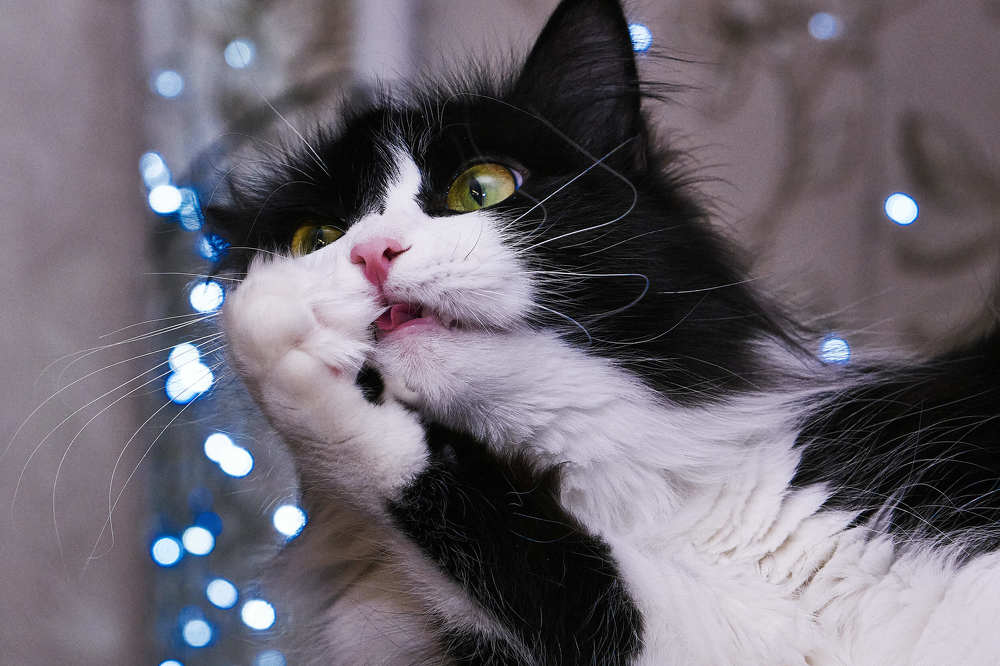 Photograph by Денис Клубникин