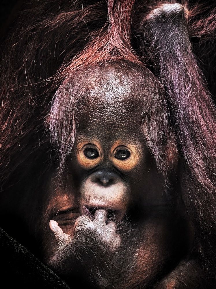 Photograph by Putra Igo