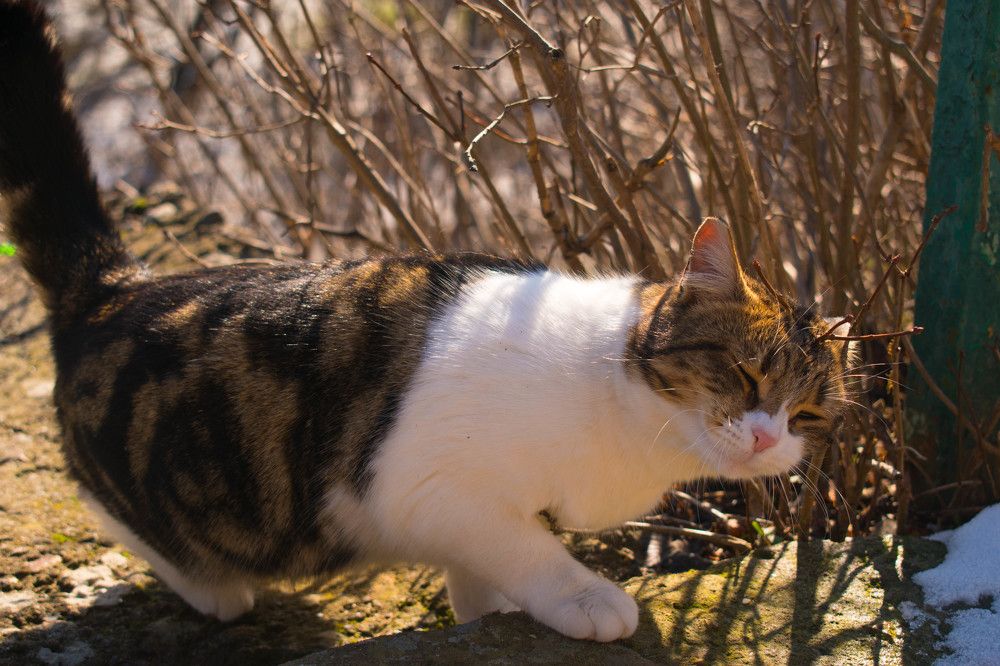 Photograph by Владимир Жигулин