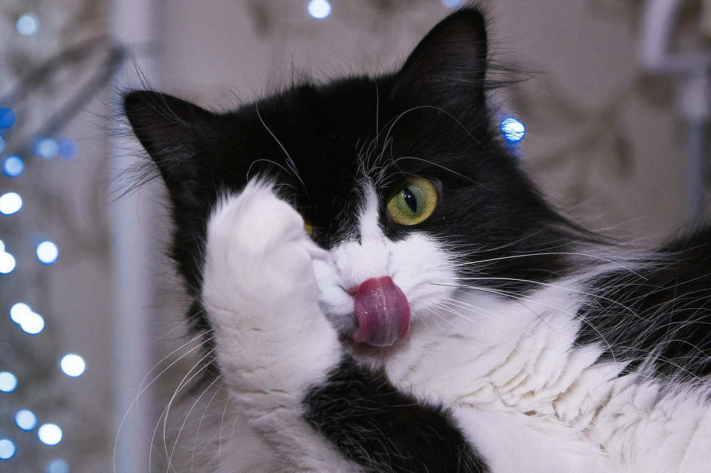 Photograph by Денис Клубникин