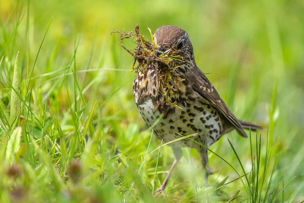 Photograph by Игорь Кляхин