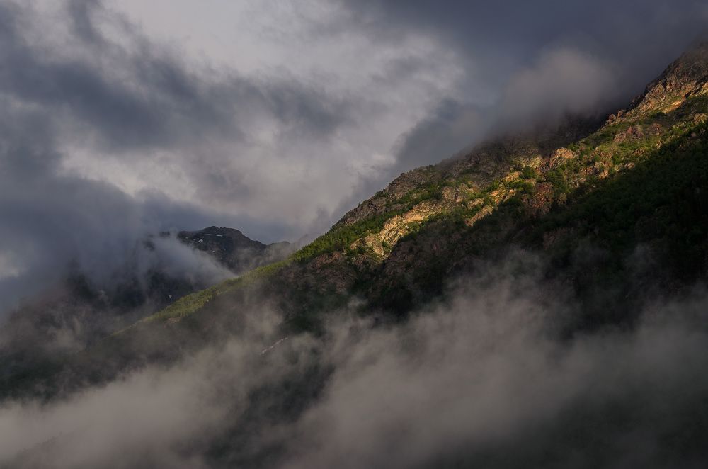 Photograph by Ольга Мукина