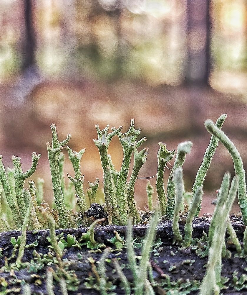 Photograph by Ольга Мартьянова