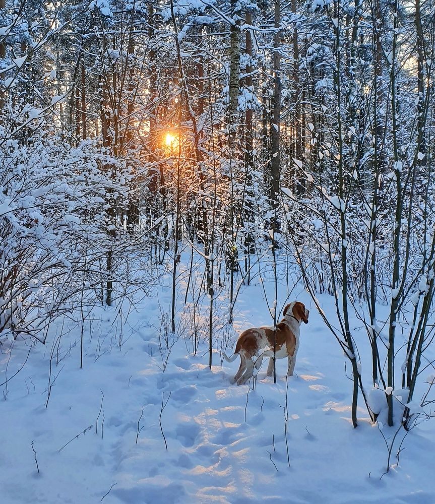 Photograph by Марина Безенкина