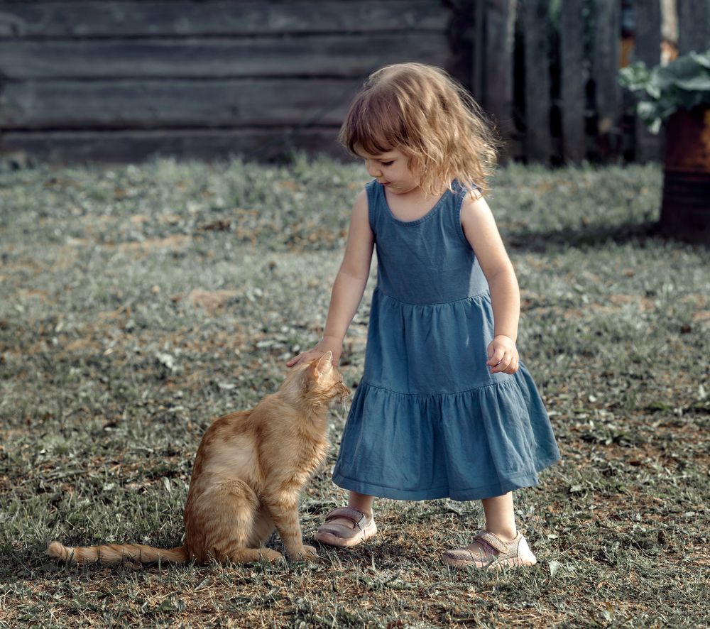 Photograph by Лариса Абрамова